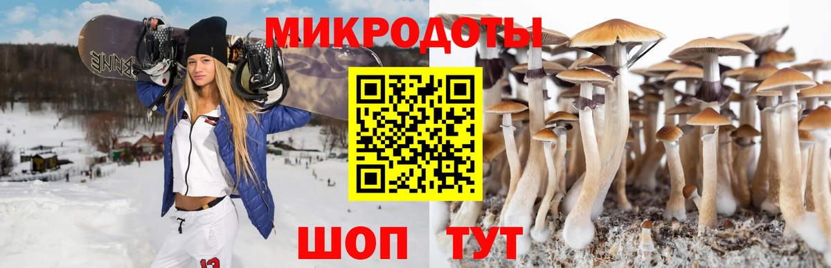 Сергиев Посад  Псилоцибиновые грибы Psilocybe  Галлюциногенные грибы Magic Shrooms  Вход с VPN 